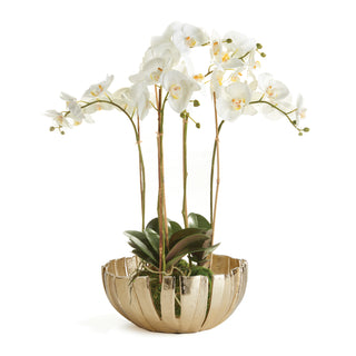 PHALAENOPSIS ORCHID BOWL DROP-IN 25" + MELODY DECORATIVE BOWL