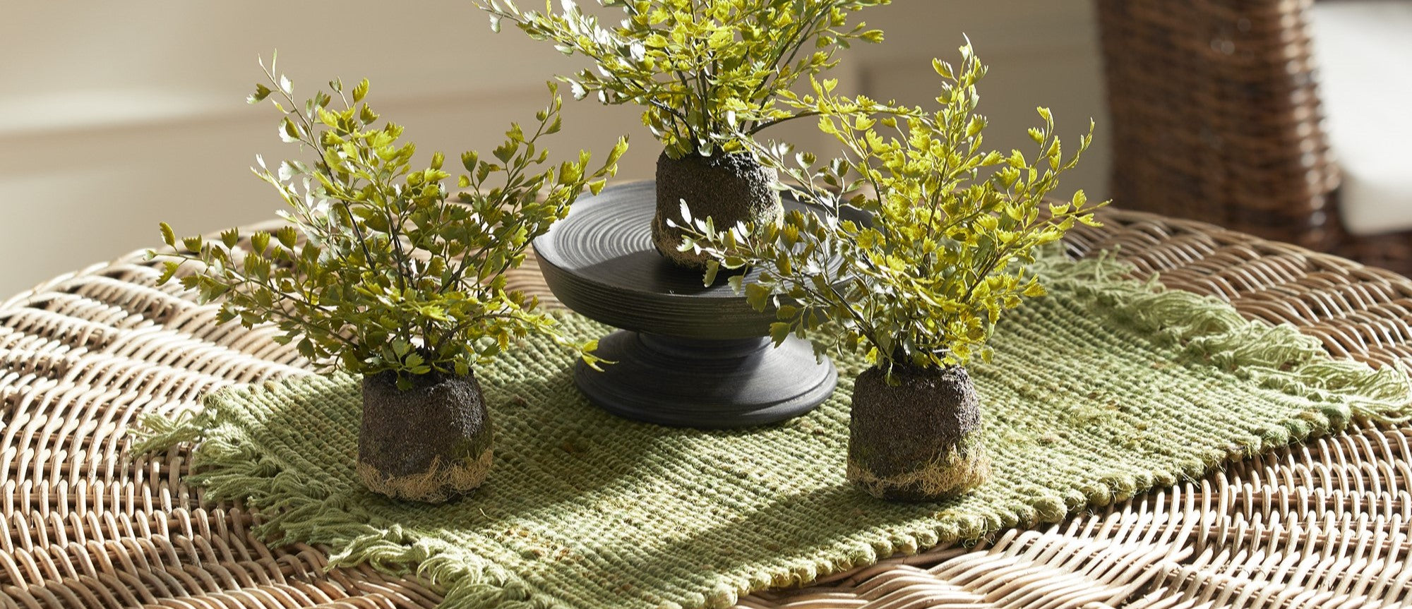 greenery dropins Napa Home & Garden