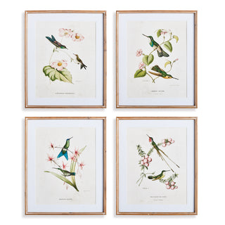 HUMMINGBIRDS WITH BLUSH BLOOMS, SET OF 4