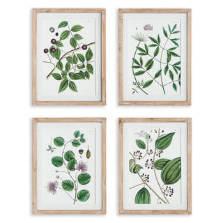 VERDANT BRANCH PRINTS, SET OF 4