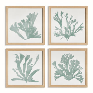 CORAL SILHOUETTES IN SOFT GREEN, SET OF 4