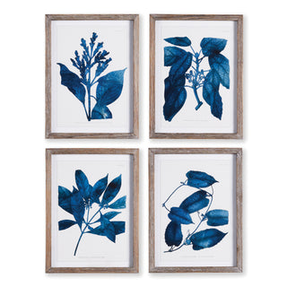 INDIGO BOTANICALS, SET OF 4