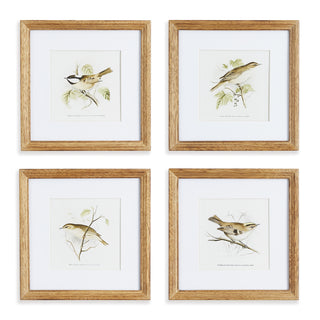 PERCHING BIRD STUDY PETITE, SET OF 4