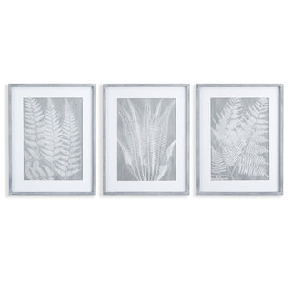 FERN FROND PRINTS, SET OF 3
